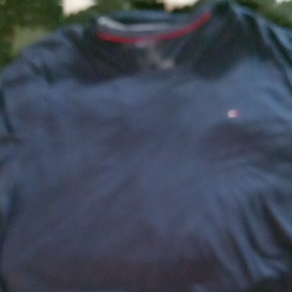 Tommy Hilfiger Navy Blue T-Shirt